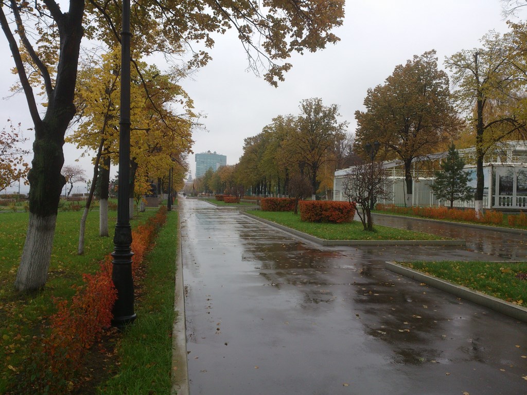 Мокрая осень